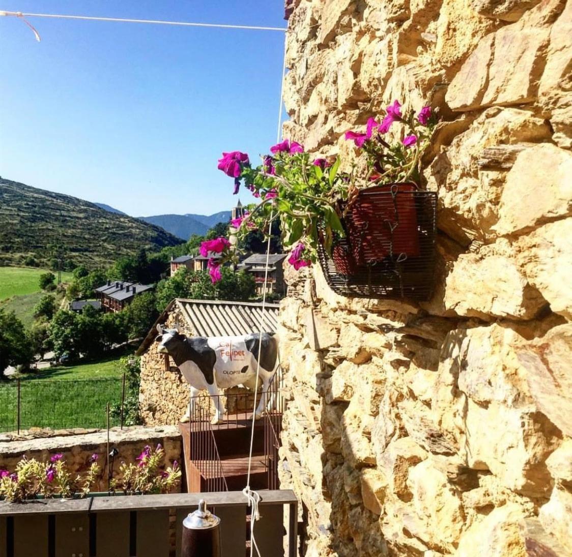 Preciosa Casa Rural Cal Felipet En Olopte-Cerdanya Eksteriør billede